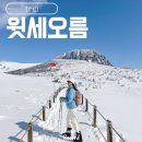 하산 | 겨울 한라산 윗세오름 주차 대피소 하산까지 상세후기