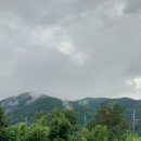 순복농장 Daum카페