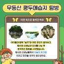 무지개몬테소리어린이집 이미지