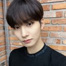 로아나 이미지