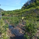 농부보따리 이미지