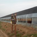 한아름농원 이미지