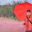 작곡가 박태준 흉상 이미지