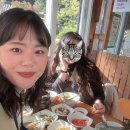 오시엔 | 10월 말 일기!!