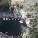 서귀포 천제연 관개수로 이미지