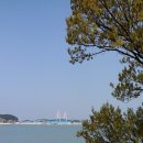 영흥면사무소 이미지