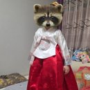 참아동어린이집 | 아동한복 아가방한복, 우자매한복, 리틀티니한복 후기 및 비교