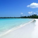 최후의 고전적 혁명가 또는 ‘독립’ 마르크스주의자 - 타리크 알리