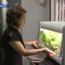 지민농장 이미지