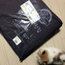 개편한집 이미지