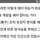 Re: 지구 환경으로 봐서 나를 수 있는 생명체는 커봐야 고온이 백조 군항새 정도이다. 2020.02.01 21:20작성글 무교 이미지