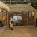 고향찬반 이미지