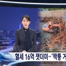 ‘찍퉁 거북선’ 결국 철거... 예산 16억 원 들였지만 불쏘시개로... 이미지