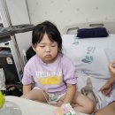 38.5DOG | 7살 2호의 마이코플라즈마폐렴 열흘간의 투병/입원이야기