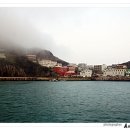 홍도엘도라도 이미지