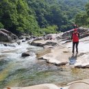 손덕기 카카오 검색결과