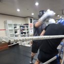 세계 복싱 체육관 네이버블로그