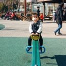 흥천어린이공원 이미지