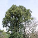 종로-종로-종로-종-106 이미지