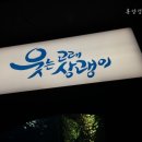 양갱아쿠아리움