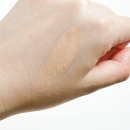 동동스테이 | 헤라 실키 스테이 파운데이션 21 커버력 지속력 수부지 추천 후기