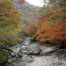 (주)동천주유소 이미지