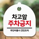 619 이미지