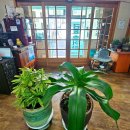 강남로1길 이미지