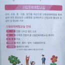 대아수목원 유아숲체험원 이미지