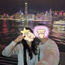 FM펫 스카이랜드 | 여행] 3일차ep2. 헤리티지, 인스포인트, 레이디스마켓, 깜와카페, 심포니오브라이트와 윙펫씨푸드 야장