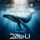 고래스튜디오 이미지
