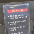 심술난마녀아로마 네이버블로그