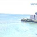 비취마트 이미지