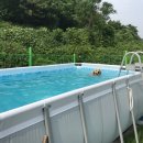 독앤트리 이미지