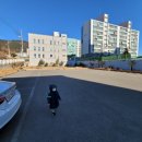 삼천포최옥순물회 이미지