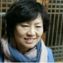 오갈미 Daum카페