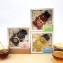 허니 태권도장 이미지