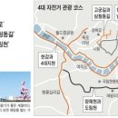 종합운동장 메타세콰이어길 이미지