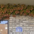 <흙 속의 숨결> 이미지