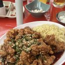 세븐소주호프 | 대전 노포 치킨 맛집 세븐나잇 야장 후기