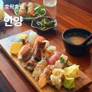2019038 | 안양 초밥 맛집 호계동 호락호락 가성비 숙성회