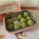 또리커피 반송점 | 2월은 스쳐지나갈 뿐