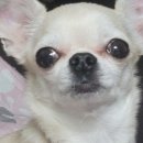 우솔동물병원 이미지