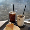 용인 고기리 대형카페 - 오아스 치즈케이크 후기