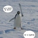 매산회도소매센터 | 얼렁뚱땅 사라진 가을