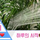 꿈꾸는 삼남매