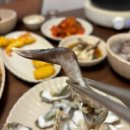 홍주수족관 | [ 충남 | 홍성여행 ] 남당항, 해양 분수공원, 남해수산(포장), 홍주읍성