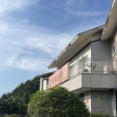 하동솔밭오리 | 하동솔밭오리 오리산더미(3-4인) 내돈내산 후기