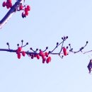 삼천포건강원