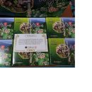 (주)강화홍삼공사 이미지